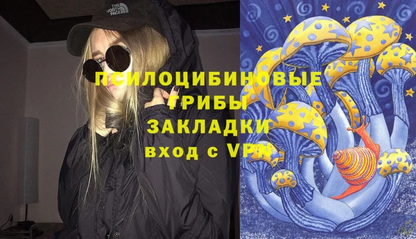 сатива Мегион