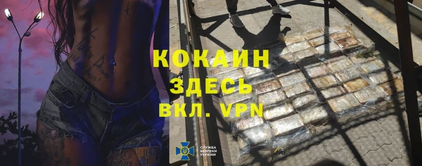 сатива Мегион