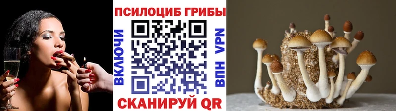 Псилоцибиновые грибы прущие грибы площадка официальный сайт Маркс хочу наркоту