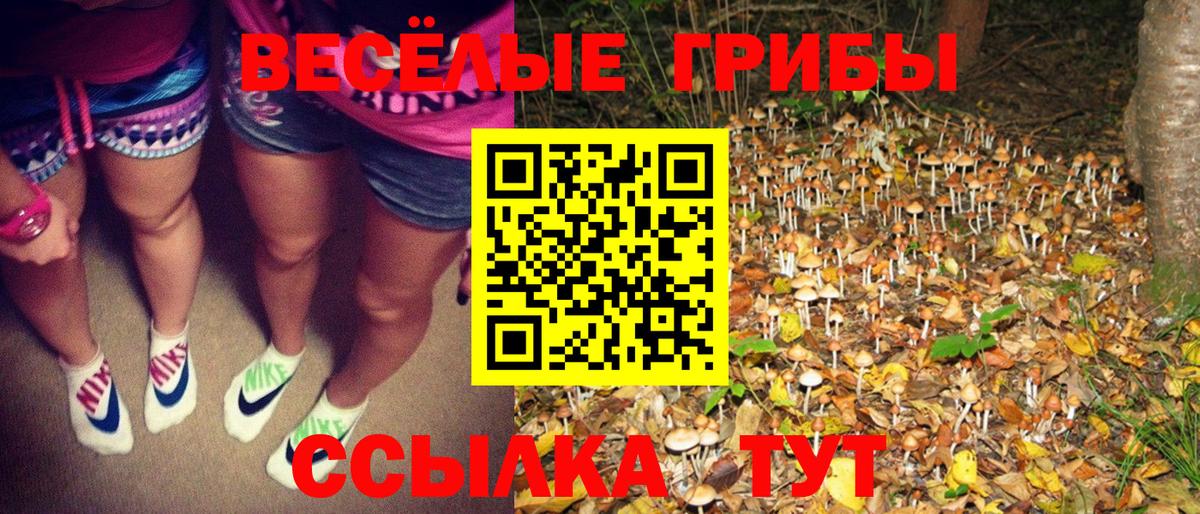Галлюциногенные грибы ЛСД Маркс