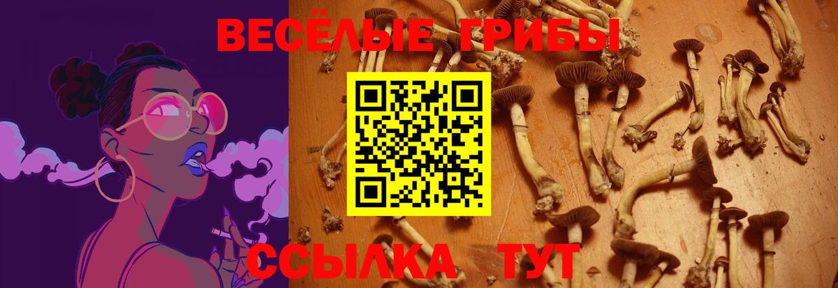 Псилоцибиновые грибы Magic Shrooms Маркс