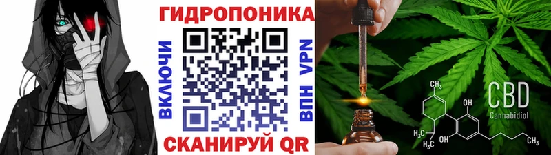Шишки марихуана Amnesia  блэк спрут ONION  Маркс 